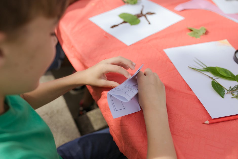 How to make outdoor games educational